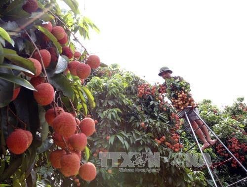 Concours d’écriture sur l’agriculture, la paysannerie et la campagne