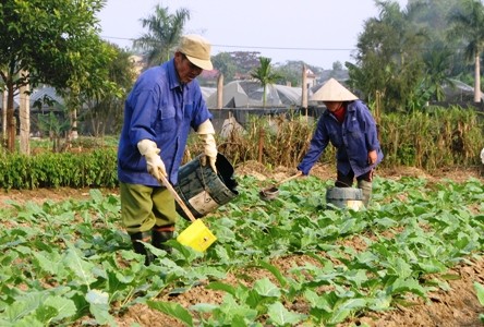 Tuy Lộc pérennise ses acquis  