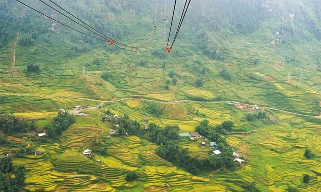 Découvrir la vallée de Muong Hoa grâce au téléphérique