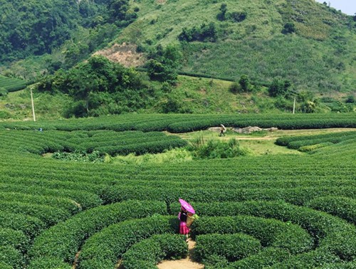 Môc Châu-un avant-goût de paradis