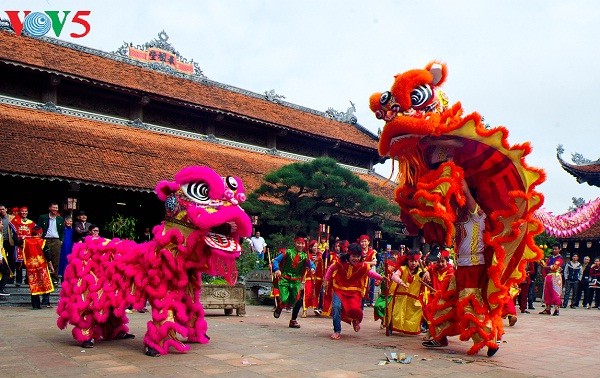 Gia Lai : semaine culturelle pour le début de l’année du Coq  