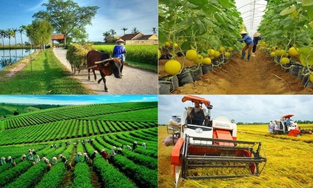 Combien de Vietnamiens pratiquent l’agriculture?