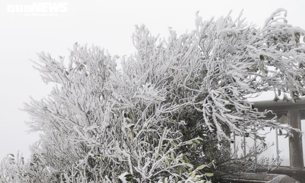 Dans quels endroits peut-on voir de la neige au Vietnam?