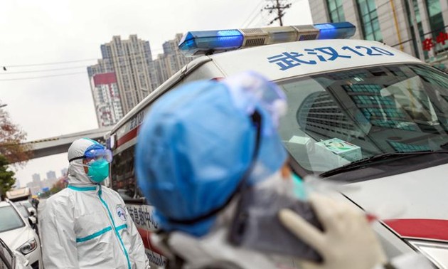 Chinese team finds new bat coronavirus that could infect humans via same route as COVID-19