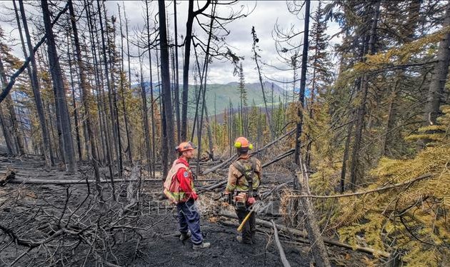 Wildfires and heatwaves wreck havoc in many parts of world