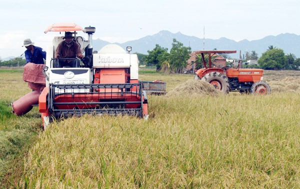 Provinsi Ninh Thuan membangun pedesaan baru.