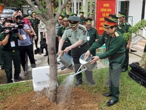 Vietnamese, Chinese armies promote links