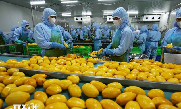 UNCTAD ປາດ​ຖະ​ໜາ​ຮັດ​ແໜ້ນ​ການ​ຮ່ວມ​ມື​ກັບ ຫວຽດ​ນາມ