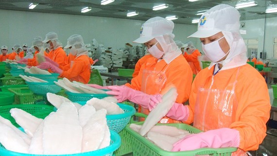 Vietnam planea ingresar más de 2 mil millones de dólares de exportaciones de pescado Tra en 2019 