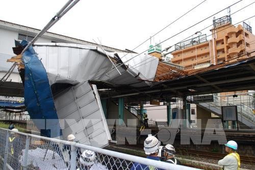 Tifón Faxai en Japón deja al menos 3 muertos y 40 heridos