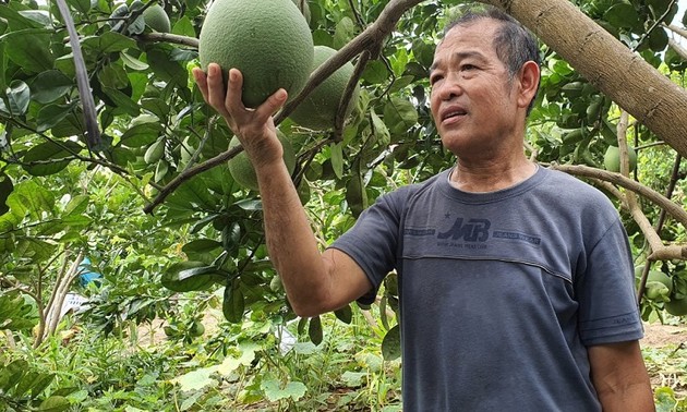 Nguyen Quang Toan, un generoso veterano de la comuna de Yen Tho