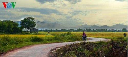 我が故郷の収穫期