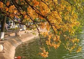 秋と冬にちなんだ歌