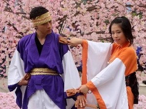 ハロン湾で桜祭