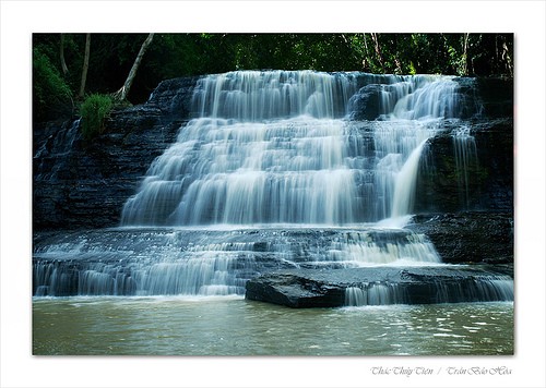 春のメロディー