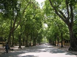 ベトナムポップス