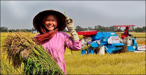 稲作と収穫をテーマにした歌