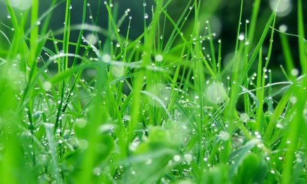 11月20日のおしゃべりタイム