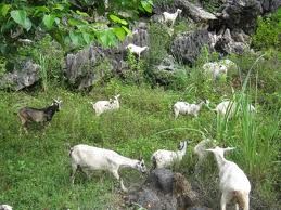 12月25日のおしゃべりタイム