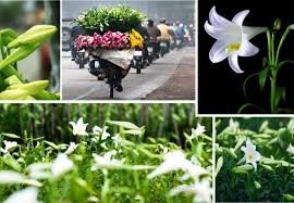 4月2日のおしゃべりタイム