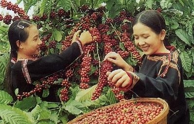 コーヒーをテーマにした歌