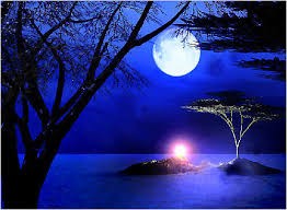 月に関連する歌