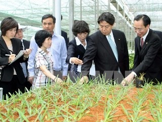 ナムディン省と宮崎県、農業で協力