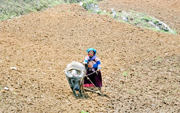 少数民族の人々の農業生産活動