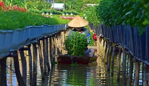 サーデック花の村