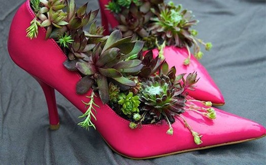 特別な観葉植物の鉢