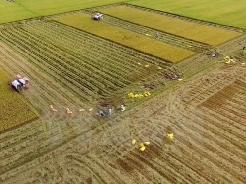 長野県川上村、ベトナムとの農業協力を強化したい