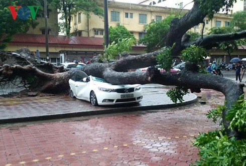 台風ディアンムーによる被害