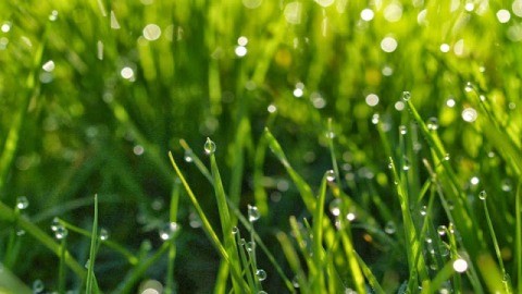 暑さを和らげる、涼しげな曲