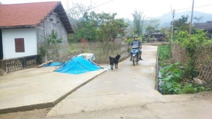 バックカン省における新農村作り