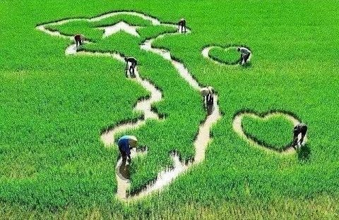 ベトナムの観光地を歌う