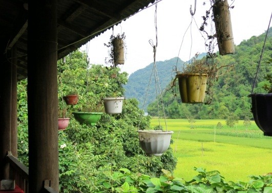 バーベー湖の美しさ（2）