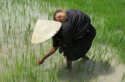 ベトナムの子守唄