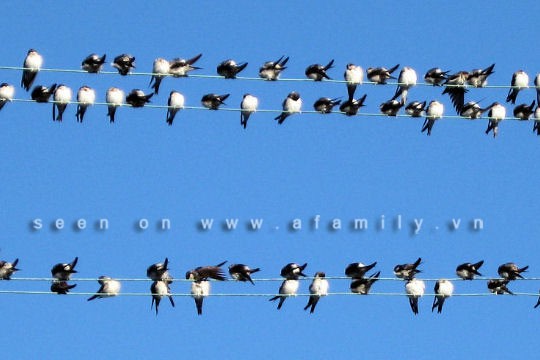 滝さんのリクエストに応えて