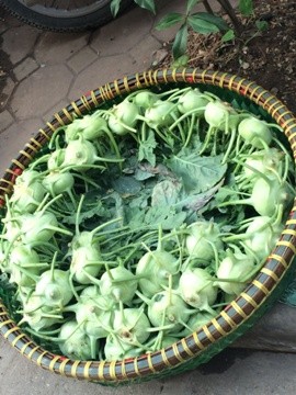 ハノイの路地裏市場