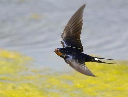 おしゃべりタイム（６月８日）