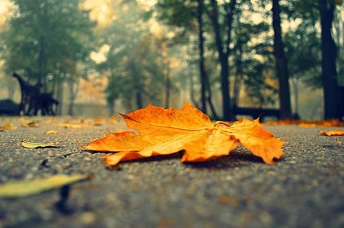 秋の終わりの歌