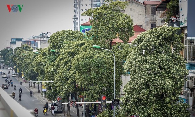 おしゃべりタイム(12月1４日)