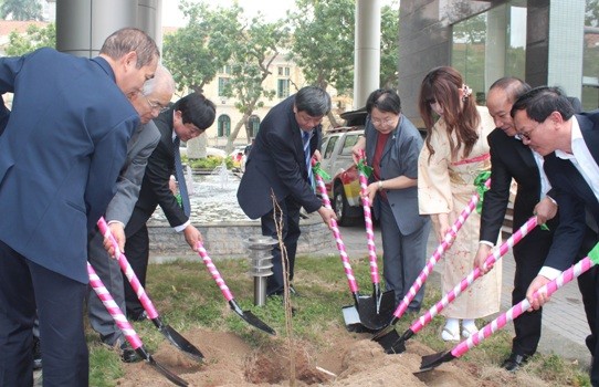 日本語学校、VOVに桜の木を寄贈