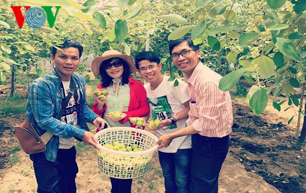 ニントアン省の田舎体験ツアー