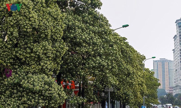 おしゃべりタイム(11月1日)