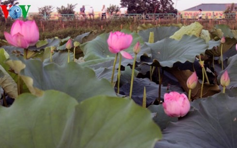 おしゃべりタイム(5月2日)