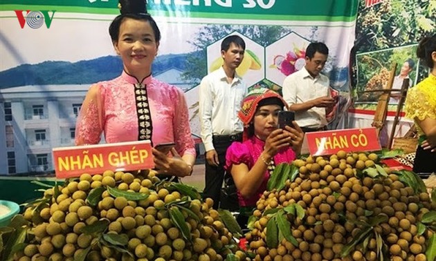 おしゃべりタイム(7月25日)