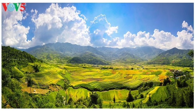 ムカンチャイの棚田