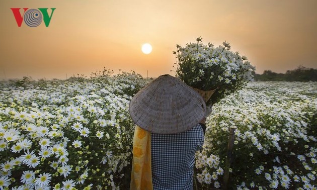 おしゃべりタイム（11月14日）