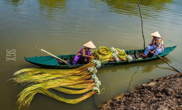 ベトナム南部の人々や故郷の美しさにちなんだ民謡